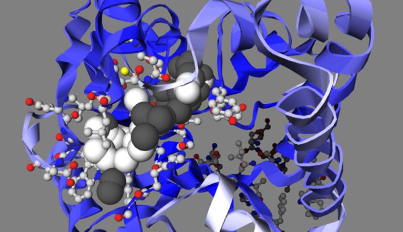 NEXCIENCIA: NUEVA HERRAMIENTA CONTRA LA TUBERCULOSIS